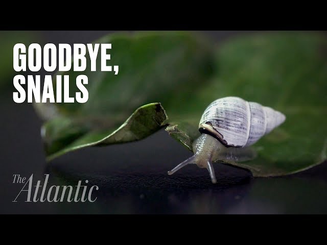 George Was the Last of His Kind