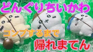 【ちいかわ】どんぐりDJちいかわコンプするまで帰れまてん！【くわんちゅ】