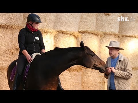 Reiten ohne Zügel: Pferdeflüsterer Honza Bláha