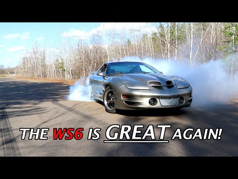 The WS6 is back and BETTER than EVER - HUGE Update!