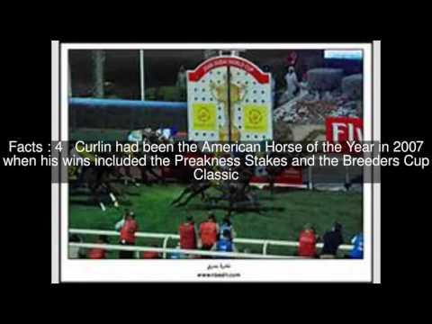2008 Dubai World Cup Top  #6 Facts