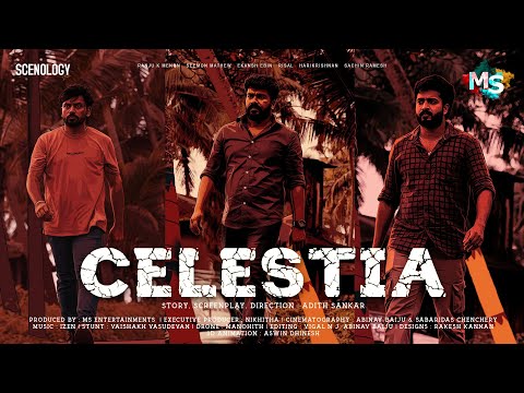 MS Entertainments and Scenology Studio