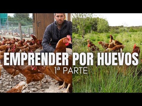 EMPRENDER POR HUEVOS | 1ª Parte