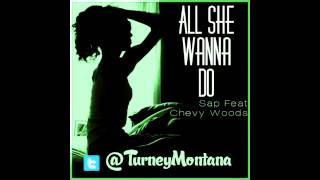 Sap ft. Chevy Woods - All She Wanna Do (prod. Sap)