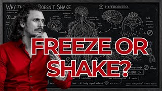 Free Somatic Shaking practice