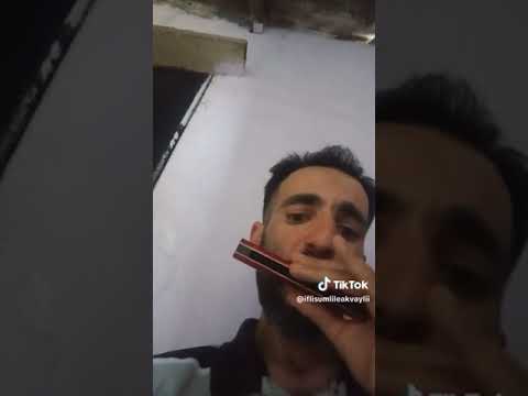 tbl harmonica trémolo en c iflisumlileakvayli@gmail.com
