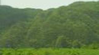 preview picture of video 'Pinar del Rio e Viñales - CUBA'