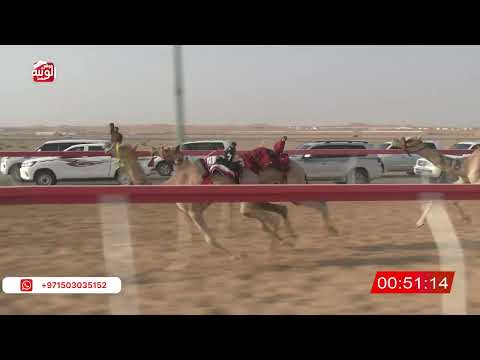  ش 25 (شاهين) لـ سهيل ضبون بالاسود العامري 2:10 ، شارة الصندوق 2026/07/13 فطامين الروضة