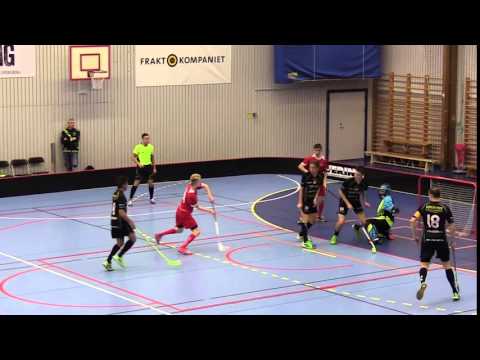 David Siitonen Mål 11-3 Mölndals IBF - Falkenbergs IBK