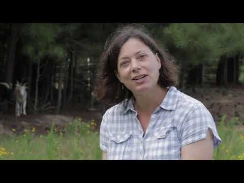 agri-Culture Podcast Ep 056 Julie Gauthier, DVM: Honey, I Shrunk the Turkey