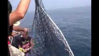 庄三郎丸のイメージ