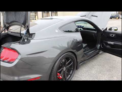 2019 Shelby Mustang (CC-2031384) for sale in O'Fallon, Illinois