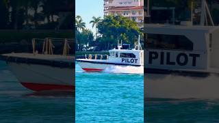 Pilot 🛟 #like #share #subscribe #comment #shortsvideo #youtubeshorts #cruise #vacation #shorts #fun