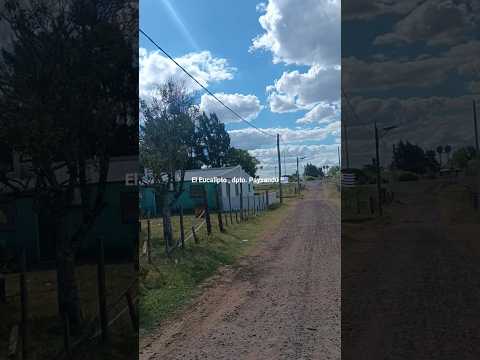 Localidad de El Eucalipto , departamento de Paysandú , Uruguay 🇺🇾 . Videitos cultura uruguaya .