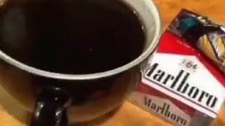 Download lagu STORY WA ngopi pagi hari mp3