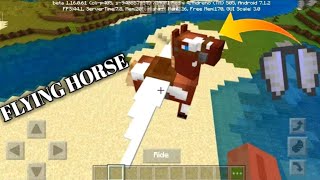 How to get flying horse in (Minecraft beta , Minecraft java , Minecraft pocket edition) 2020