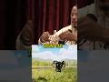 Terrence Howard shows Joe Rogan his invention