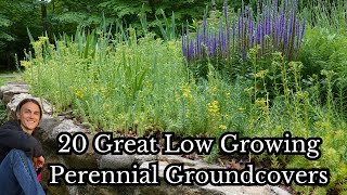 Add These 20 Low Growing Perennials - Groundcovers - Low Maintenance - Reduce Weeds & Mulch