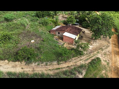 Vende se esse sítio no Engenho Lajedo zona rural Palmares PE 200.000 (081)996309085