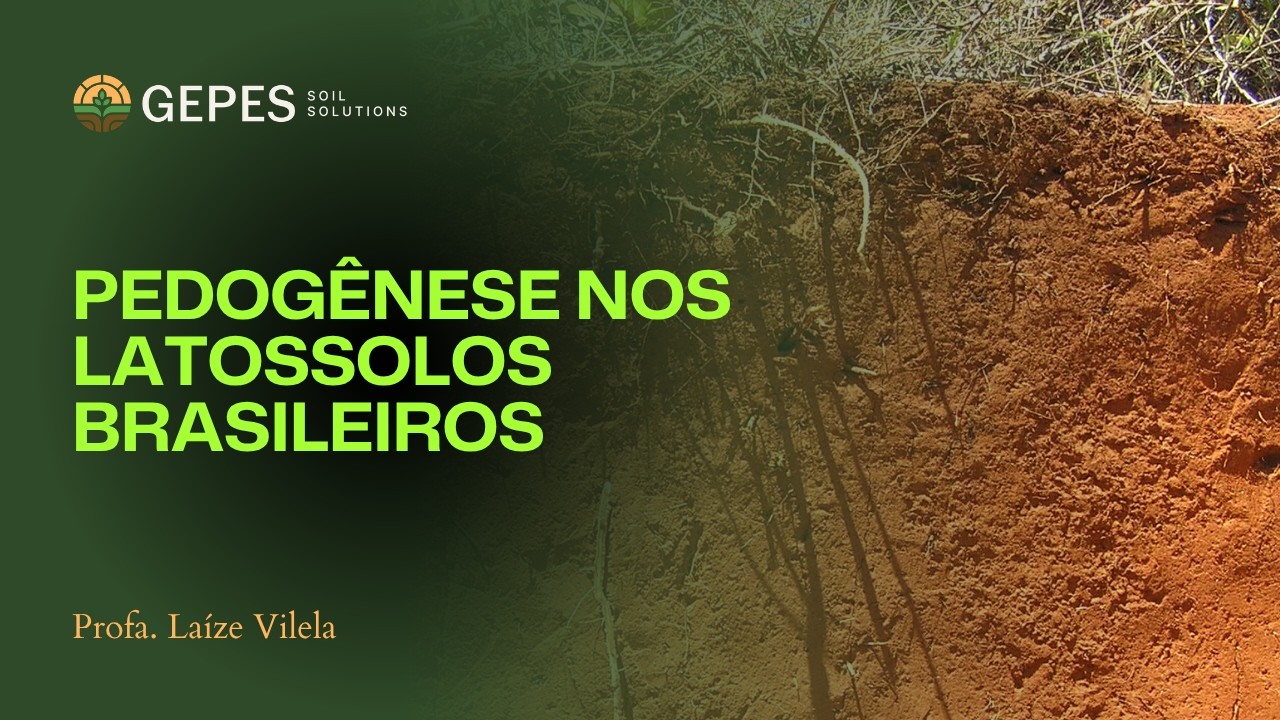 Pedogênese nos Latossolos: como eles se formam?