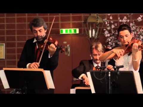 Salonissimo - Emmerich Kalman - Komm Zigany