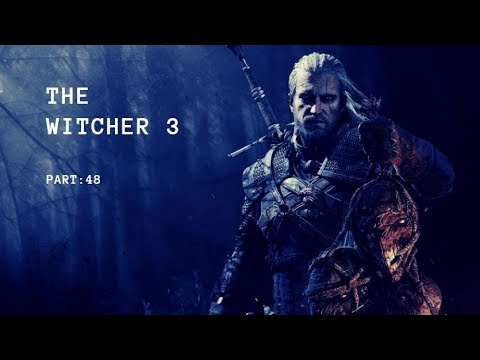 Lets play The Witcher 3 Wild Hunt Part 48: mehr Infos über Ciri
