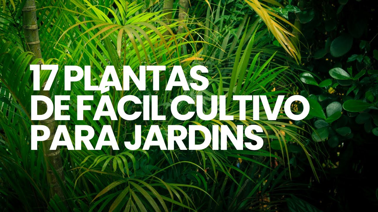 17 PLANTAS de FÁCIL CULTIVO para JARDINS
