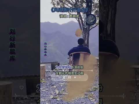新歌上线【风追落叶叶追尘】演唱：贾晓龙 完整版