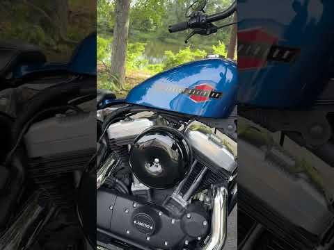 XL 1200X 2022 Forty-Eight®