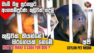 ඔබේ  සුරතලාගේ නිවහනත් මේවගේද ? | How to make a cage for dog ? | Ceylon Pet Media