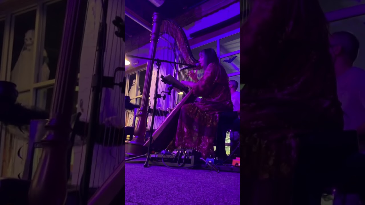 Promotional video thumbnail 3 for Charla Murray, Harpist