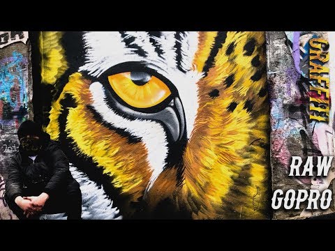 Eye of the Tiger graffiti #raw #graffiti #asmr footage