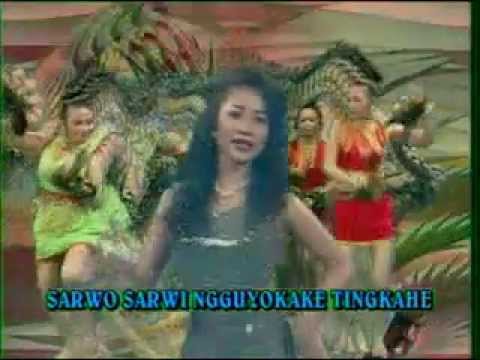 aja sembrono @yantosempor