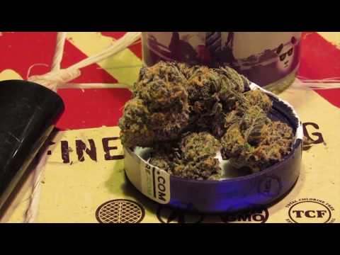 download lagu mp3 mp4 Granddaddy Kush, download lagu Granddaddy Kush gratis, unduh video klip Granddaddy Kush