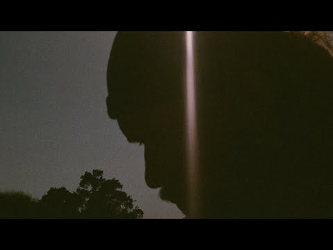 Shrimpnose & Somni - Pollinate [Official Audio]