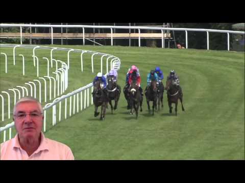 Cavalaryman - Goodwood Cup - 31st August 2014