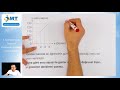 8. Sınıf  Matematik Dersi  Doğrusal Denklemler 8. Sınıf Matematik Doğrusal Denklemler ve Günlük Yaşam Konu Anlatımı-Soru Çözümü Video Ders ***Kaynak: Sadık Uygun ... konu anlatım videosunu izle