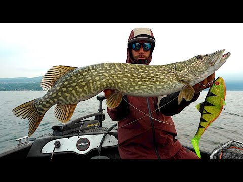 Pesca al LUCCIO sul Lago Maggiore - Pike Fishing on a Big lake