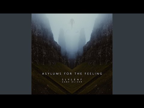 Asylums for the Feeling (feat. Zane Oliver)