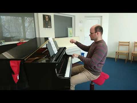 Schneider Trnavský Keby som bol vtáčkom