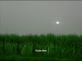 Aaja re - Noorie (Bally Sagoo) 