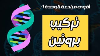 كورس تركيب البروتين 🧬 2026