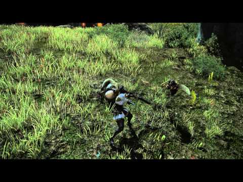 Final Fantasy XIV Female Hyur Highlander Voice 3