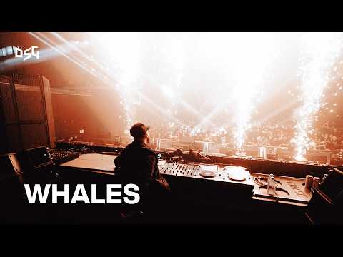 WHALES @ BLACKLIST 🚨 BEST DUBSTEP LIVE MIX 2026 🚨 Brutal Dubstep Drops 🚨