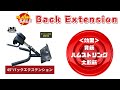 ハイパーバックエクステンション好評販売中! 背筋、ハムストリング、大殿筋のトレーニング