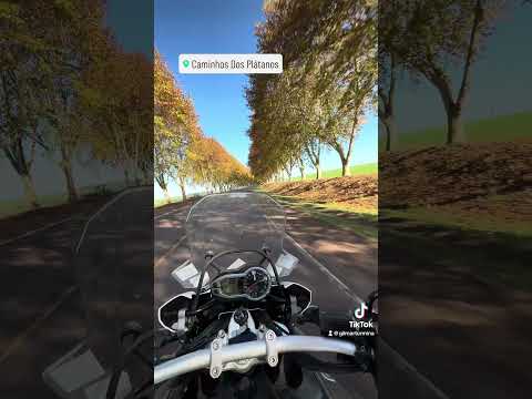 Caminho dos Plátanos-estação inverno - Boa Vista Das Missões RS