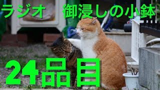 【ラジオ】御浸しの小鉢【24品目】