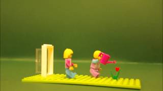 preview picture of video 'Lego puķe'