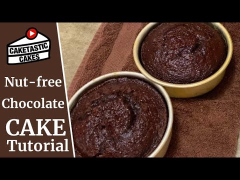 Chocolate Cake Recipe for Peanut/ Tree Nut Allergy Safety