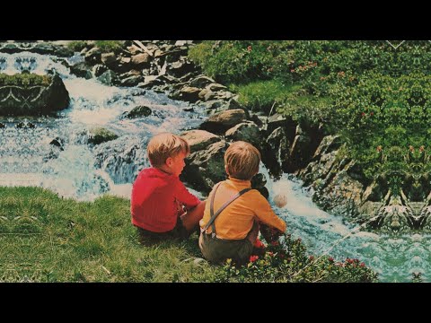 Pijmy wino za kolegów - Seweryn Krajewski [nuty i akordy]